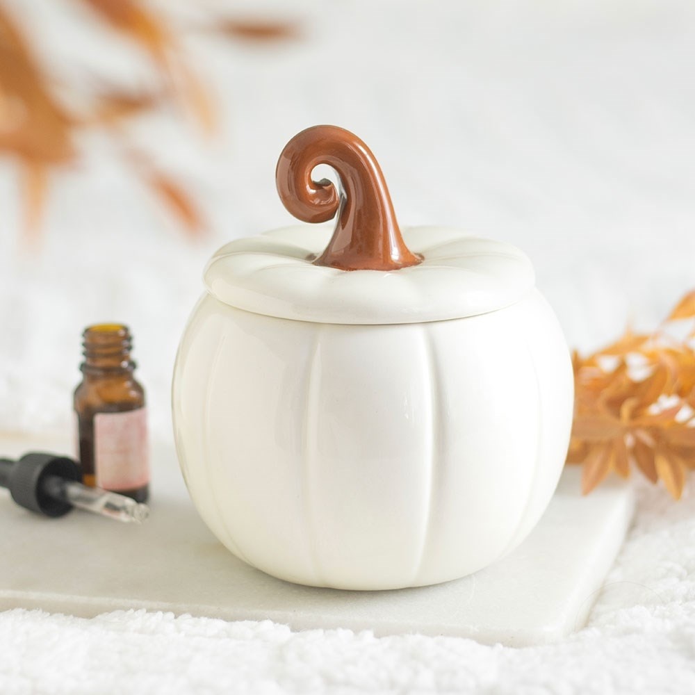 Something Different - White Curly Pumpkin Oil burner - White